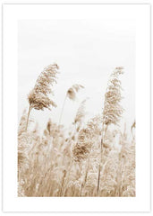 Reeds Field No1 Poster