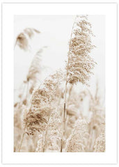 Reeds Field No2 Poster
