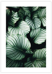 Plant No3 Poster