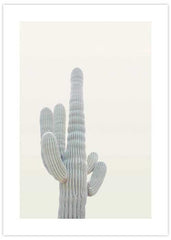 Cactus No1 Poster