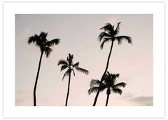 Palms Sunrise Poster
