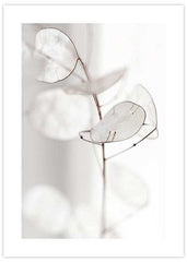 Pastel Blossom Poster