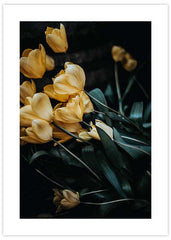 Yellow Tulips Poster