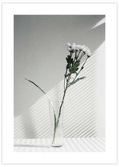 White Flower Poster