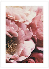 Spring Flowers No2 Poster