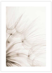 Dandelion Seeds Poster