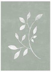 Sage Plant Poster